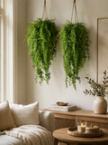 Deluma Hanging Vine
